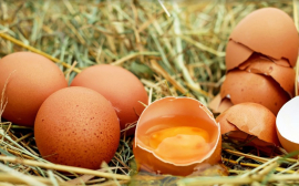 В Псковской области яйца подорожали на 7,7%