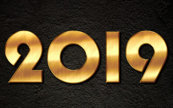 Емельянова назвала 2019 год прорывным для Псковской области