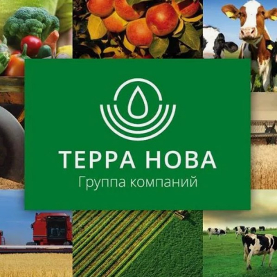 Группа компаний «Терра Нова»