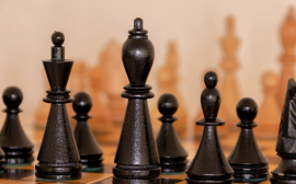 В Псковской области могут открыть шахматную школу
