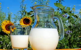 В Псковской области произвели около 65 тыс. тонн молока
