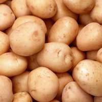 Аграрии России произвели картофеля в 2015 году почти на 7% больше предыдущего года