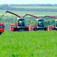 На субсидии сельскому хозяйству выделят 1,5 млрд рублей