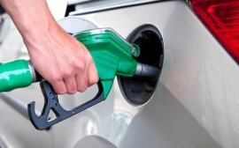 В августе стоимость бензина на псковских АЗС осталась неизменной