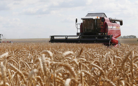 За десять лет в Псковской области число аграрных предприятий сократилось вдвое
