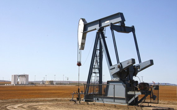 В Псковской области нефтешламовое хранилище ликвидируют за 8 млн рублей
