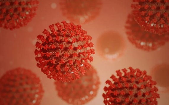 Власти Шотландии поддержали Псков в борьбе с коронавирусом