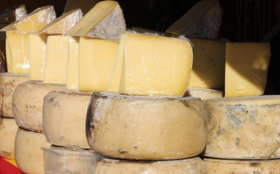 Под Псковом появится производство греческих сыров