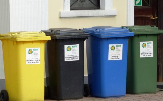 Псковская область получит на контейнеры для раздельного сбора мусора 137 млн рублей