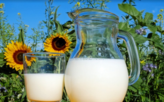 В Псковской области в молочное производство вложат 230 млн рублей