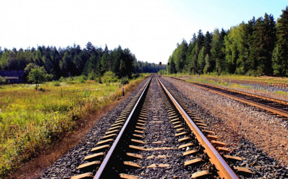 Ведерников назвал железную дорогу важной отраслью экономики Псковской области