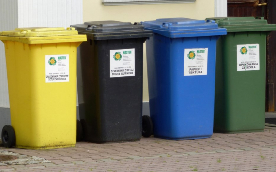 Псковская область получит 30 млн рублей на закупку контейнеров для мусора