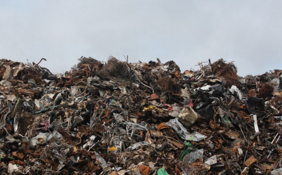 В Псковской области 4 млрд рублей вложат в мусороперерабатывающий завод