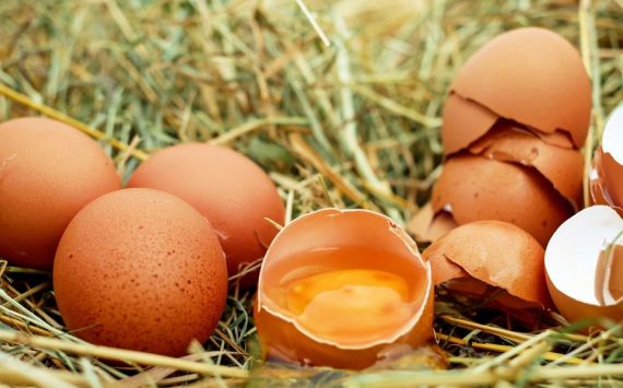 В Псковской области куриные яйца к Пасхе подорожали на 6,9%