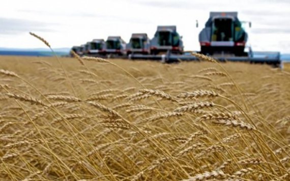 Минсельхоз России изменит программу развития сельского хозяйства