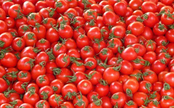 Турецким помидорам предрекли возвращение на российский рынок